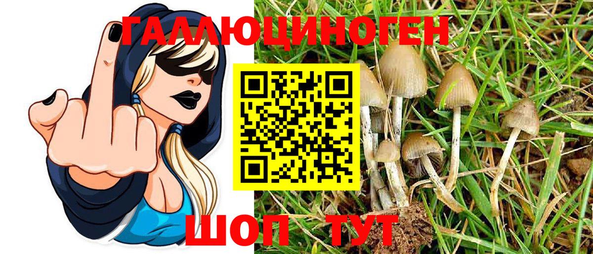 Псилоцибиновые грибы MAGIC MUSHROOMS Ессентуки