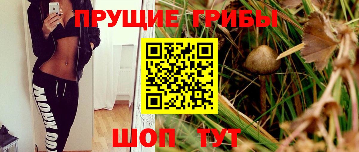 Ессентуки  Псилоцибиновые грибы Cubensis  Вход с VPN 